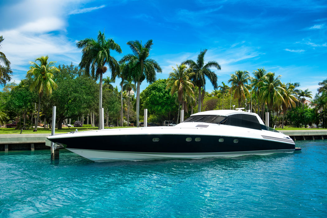 yacht management palm beach florida - boat parked with palm trees in the background